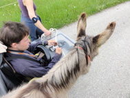 Wanderung mit Rollst&uuml;hlen